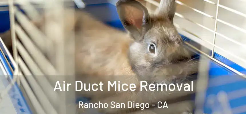 Air Duct Mice Removal Rancho San Diego - CA