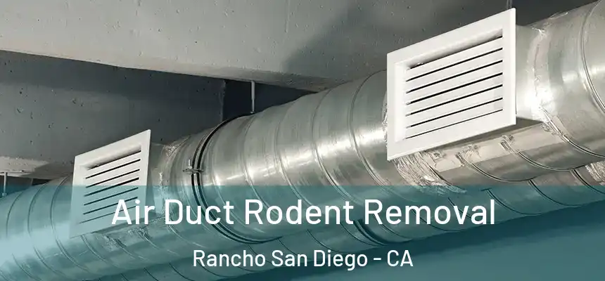  Air Duct Rodent Removal Rancho San Diego - CA