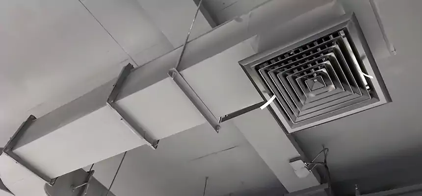 Restorative Allergy Relief Vent Cleaning – Coil, Blower & Housing Detail in Rancho San Diego