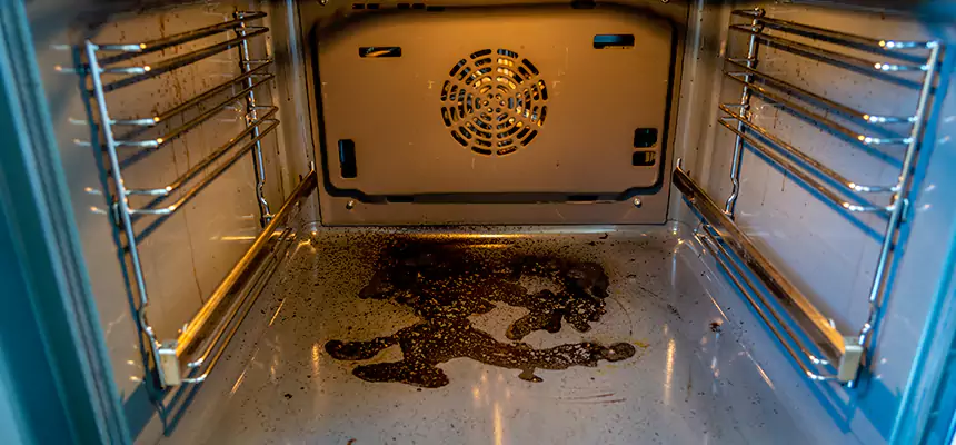 Our Dryer Vent Mold Cleaning Services in Rancho San Diego, CA