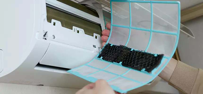 Gentle Ductwork Odor-Control Pet Dander Duct Cleaning in Rancho San Diego, CA