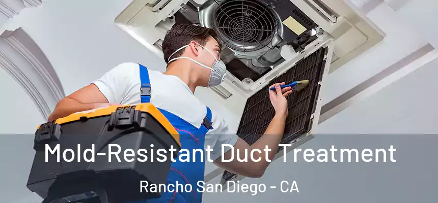  Mold-Resistant Duct Treatment Rancho San Diego - CA