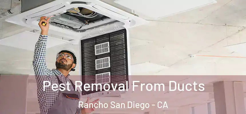 Pest Removal From Ducts Rancho San Diego - CA