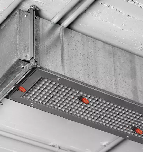 Affordable Insect Removal from Air Ducts in Rancho San Diego, CA