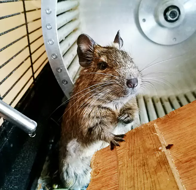 Why Homeowners & Businesses Trust Us Rancho San Diego, CA