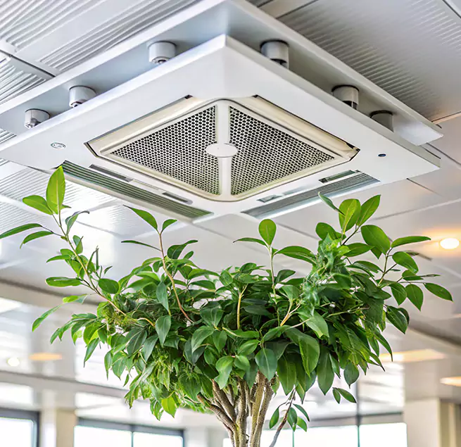 Why Homeowners & Businesses Trust Us in Rancho San Diego, CA