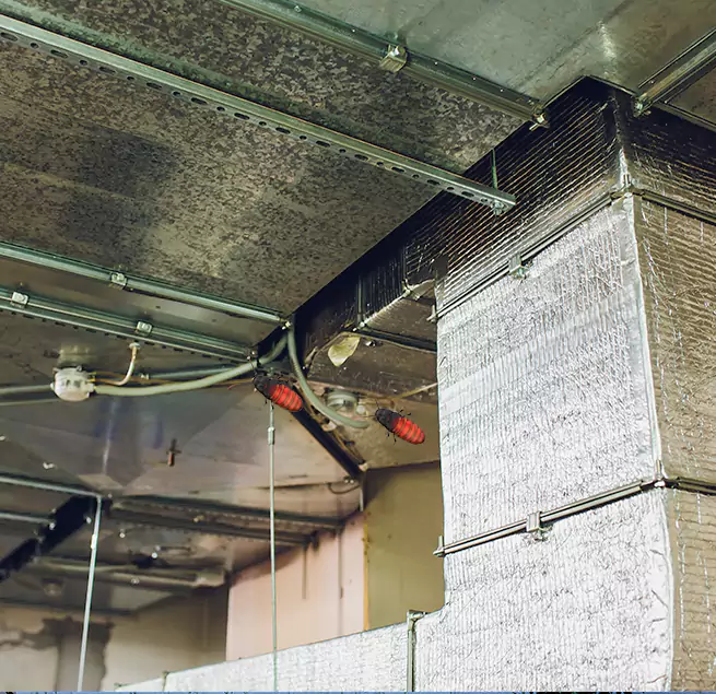 Why Homeowners & Businesses Trust Us Rancho San Diego, CA?