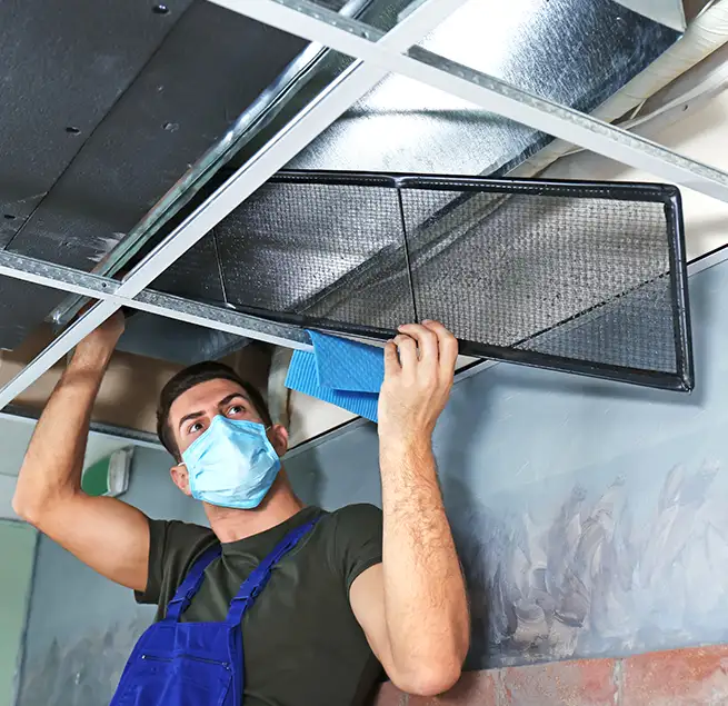 Why Homeowners & Businesses Trust Us in Rancho San Diego, CA?